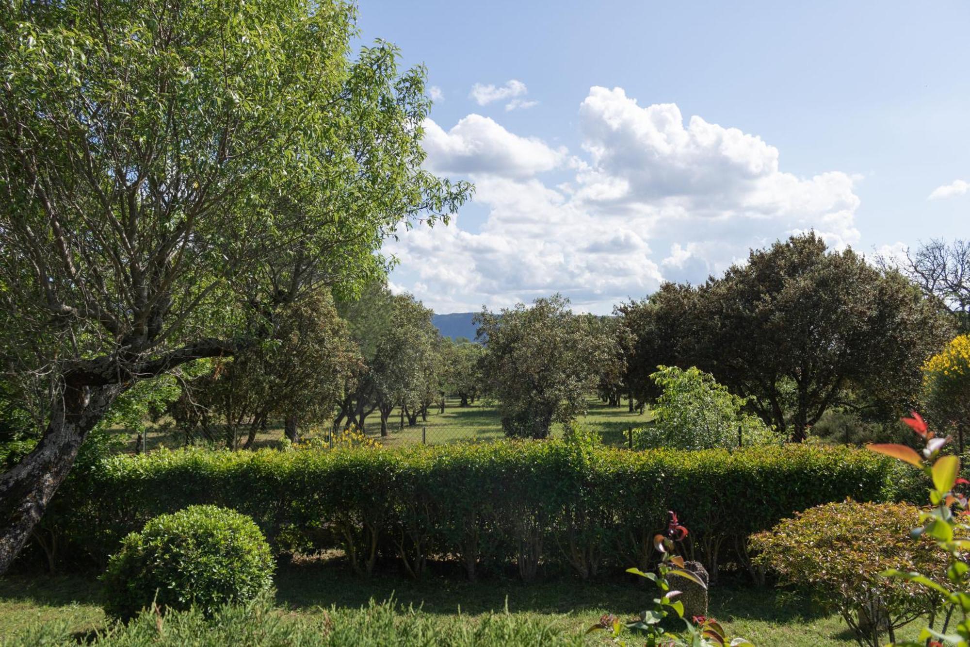 Villa Provencale Face Au Luberon Cabrieres-d'Avignon Exterior photo